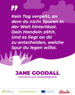 Shareables-DE-new